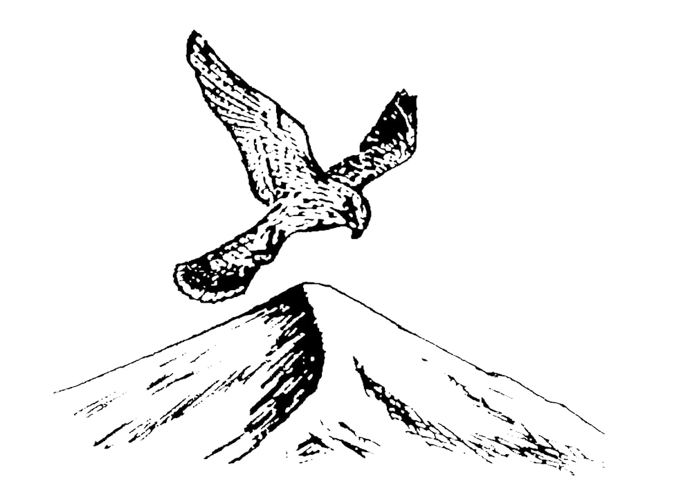 Falkebergrennet 2016